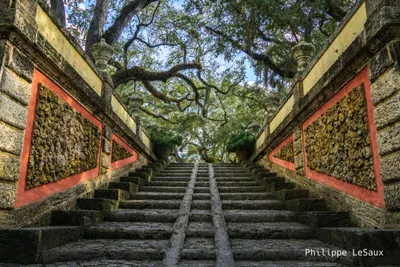 A set of weathered, outdoor steps