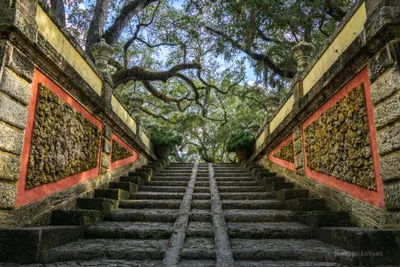 A set of weathered, outdoor steps