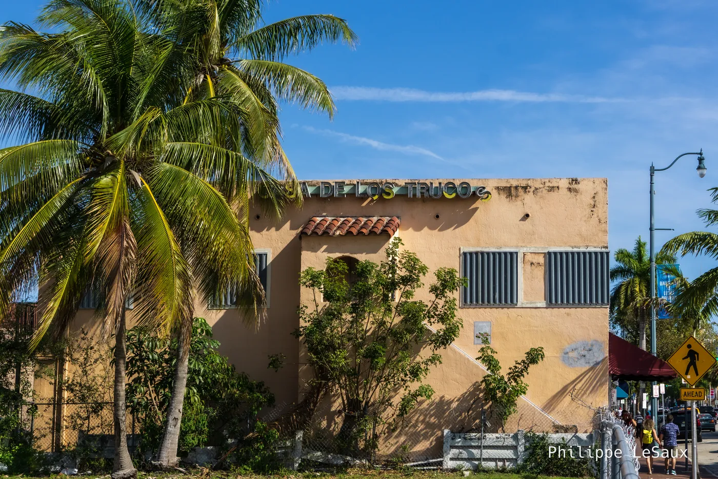 A palm tree and the side of a building