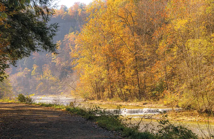 A hiking trail next to a creek with prime fall foliage
