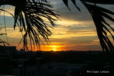 The sun setting from the top of a building