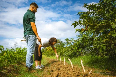 Two people working in a lush farm field under a partly cloudy sky