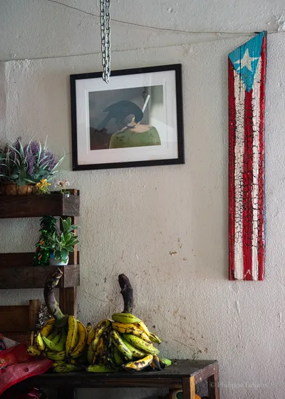 Bunches of plantains beneath a framed photo and a weathered Puerto Rican flag on a wall