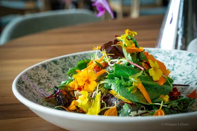 A salad of mixed greens and edible flowers in a floral-patterned bowl