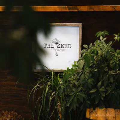 The Seed: A Living Arts Project sign framed by green plants